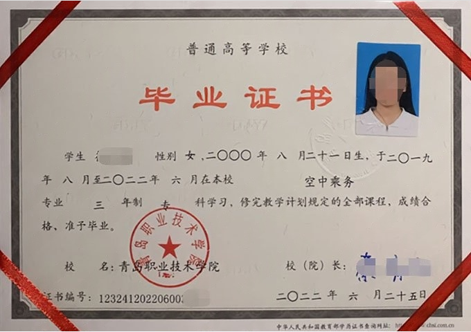滨海青岛职业技术学院毕业证样本图片